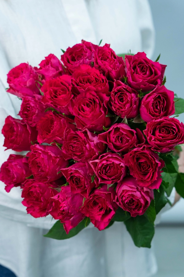 Картинка Букет из 25 малиновых роз Кения 70 см