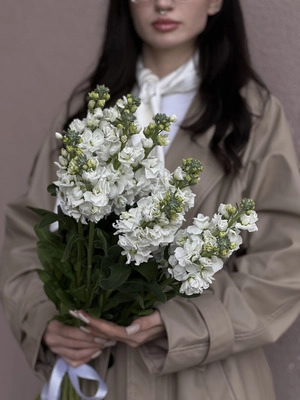 Картинка Букет из 13 маттиол "Апрель"