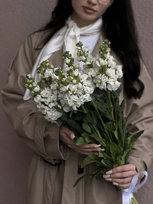 Картинка Букет из 13 маттиол "Апрель"