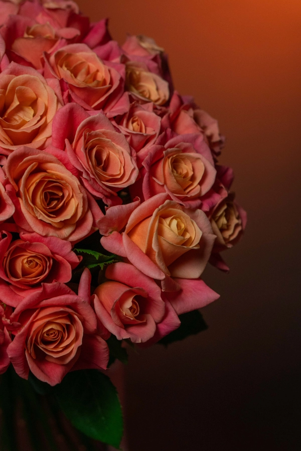 Картинка Букет из 45 роз Мисс Пигги 50 см