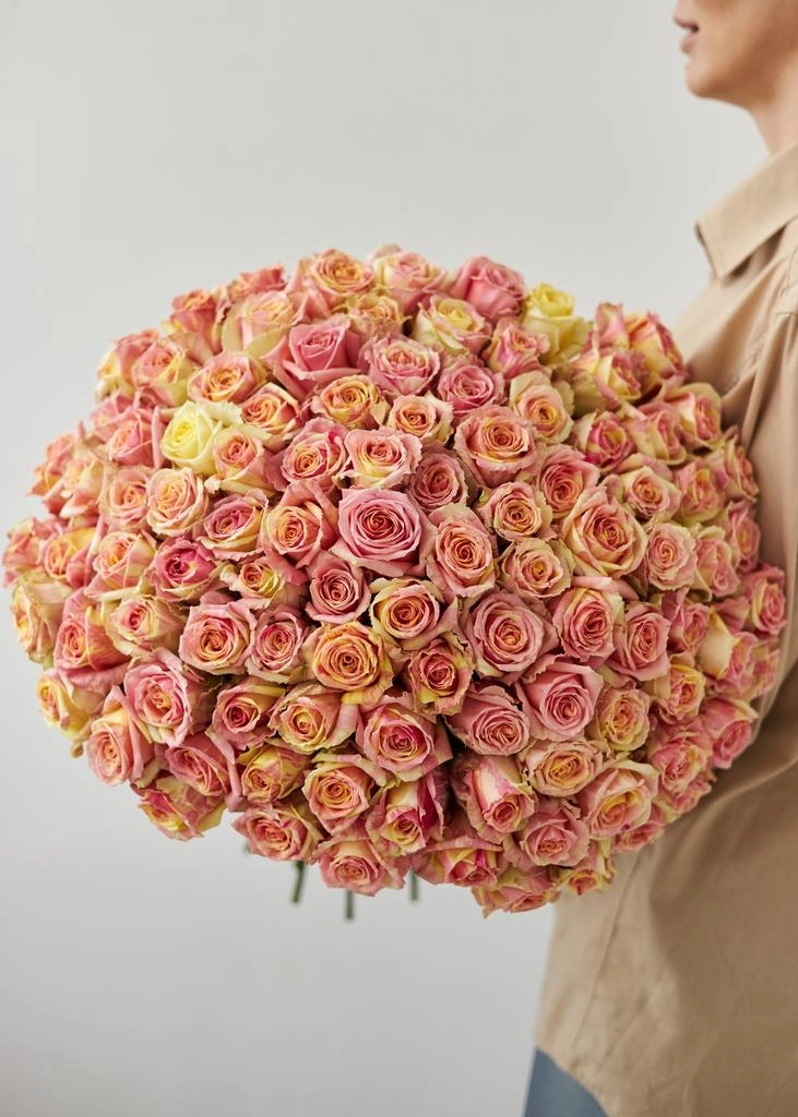 Картинка Роза Фиеста