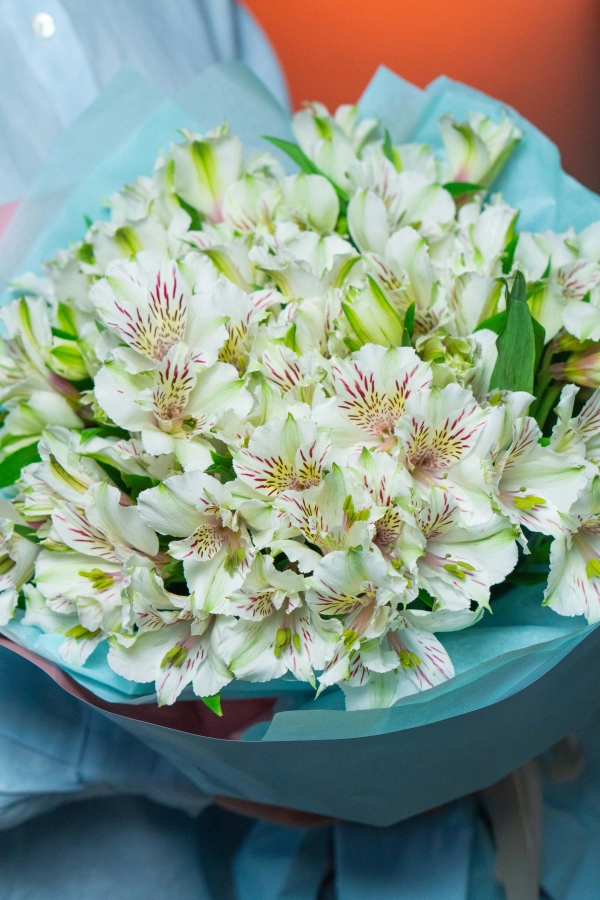 Картинка Букет из 21 альстромерий "Крем-брюле"