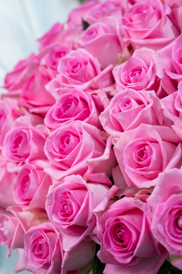 Картинка Букет из 31 розы сорта Ревивал 80 см