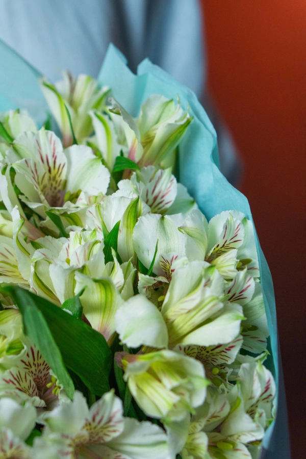 Картинка Букет из 21 альстромерий "Крем-брюле"