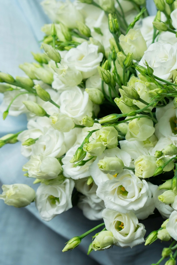 Картинка Букет из 13 эустом «Для моей любимой»