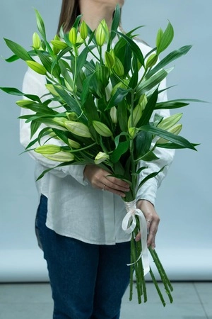 Картинка Букет из лилий "Облако"