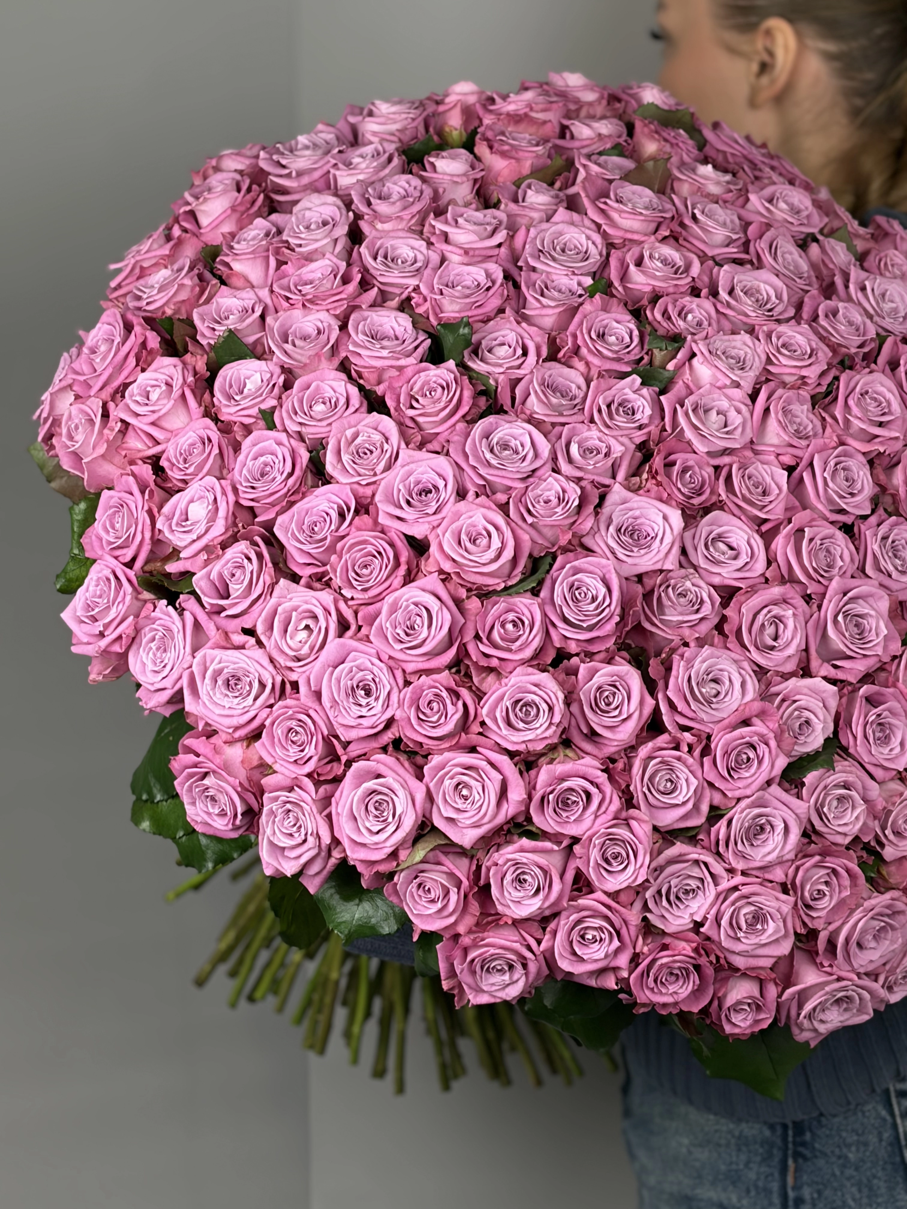 Картинка Букет из  151 розы Маритим 50см