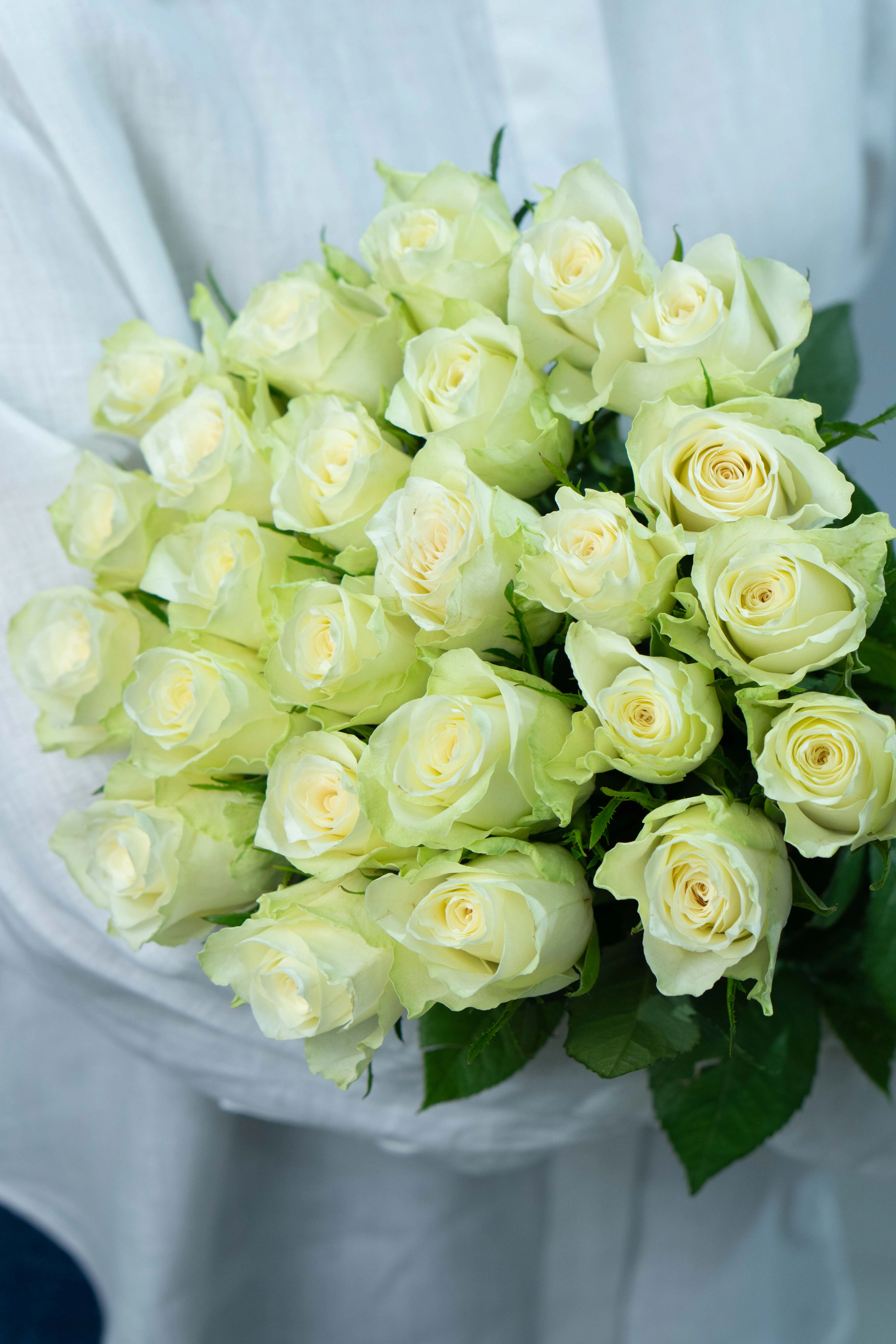 Картинка Букет из 25 белых роз Кения 60 см