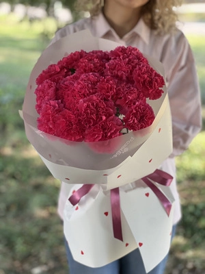 Букет из 25 гвоздик "Малина"