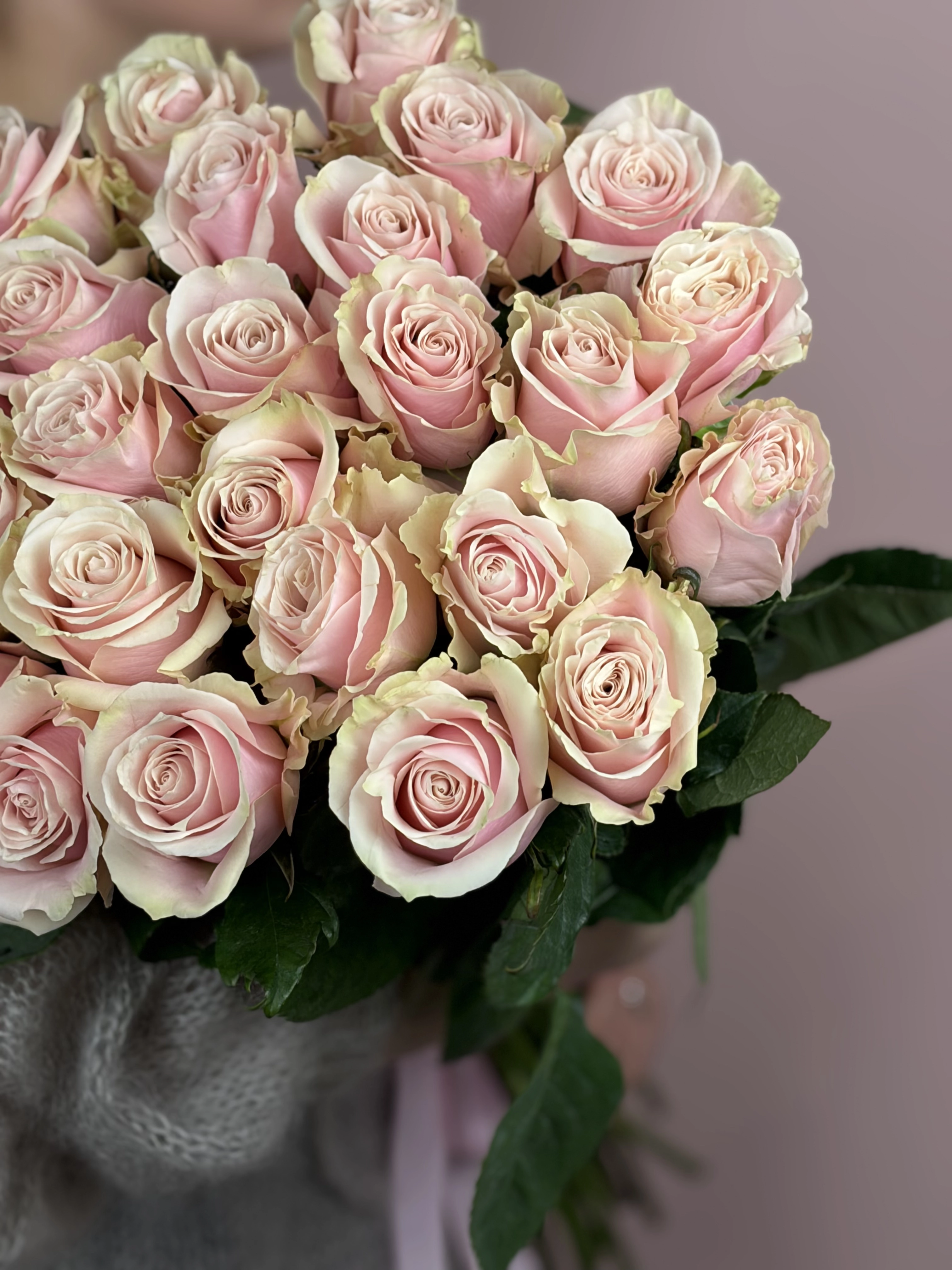 Картинка Букет из 25 роз Пинк Мондиаль 60см