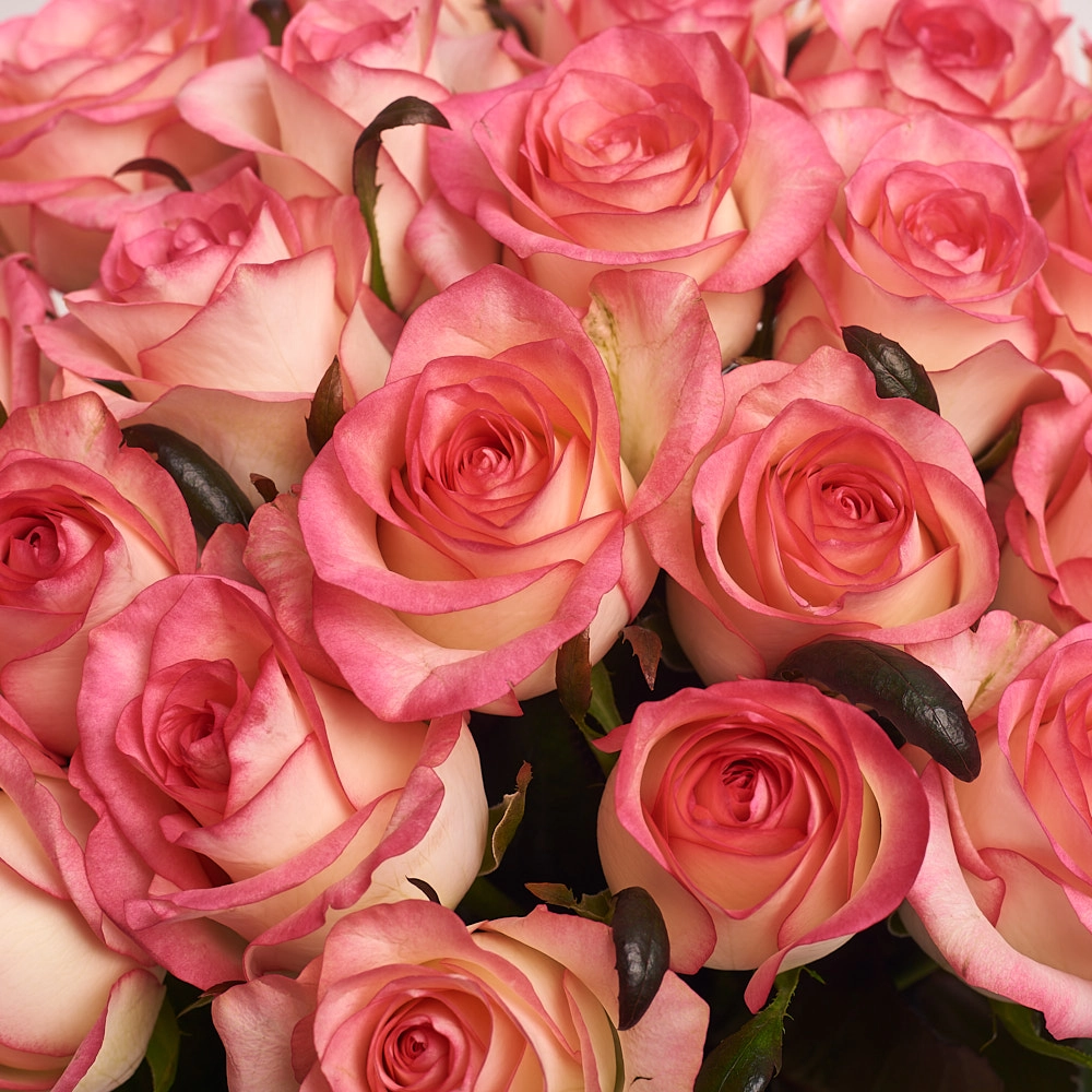 Картинка Букет из 29 роз сорта Джумилия 60 см