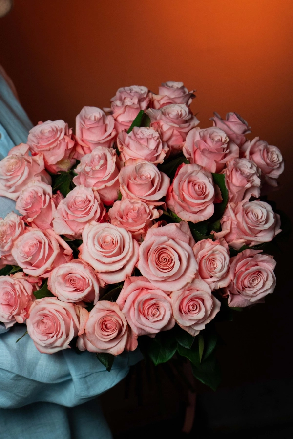 Картинка Роза Би Свит