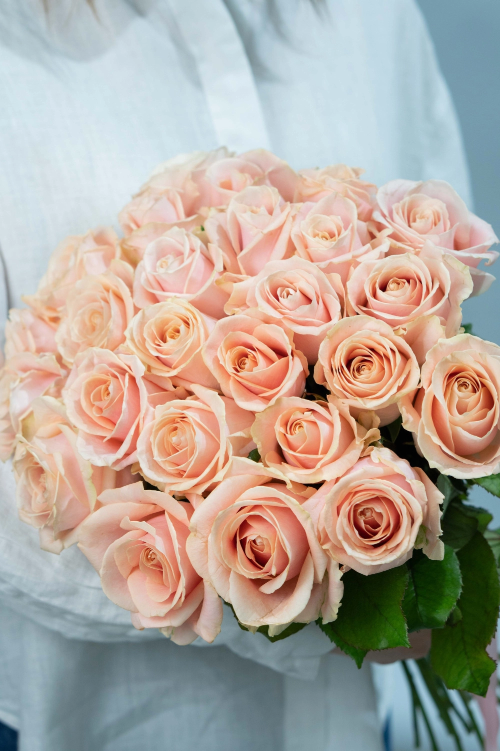 Картинка Букет из 25 роз сорта Перл 70 см