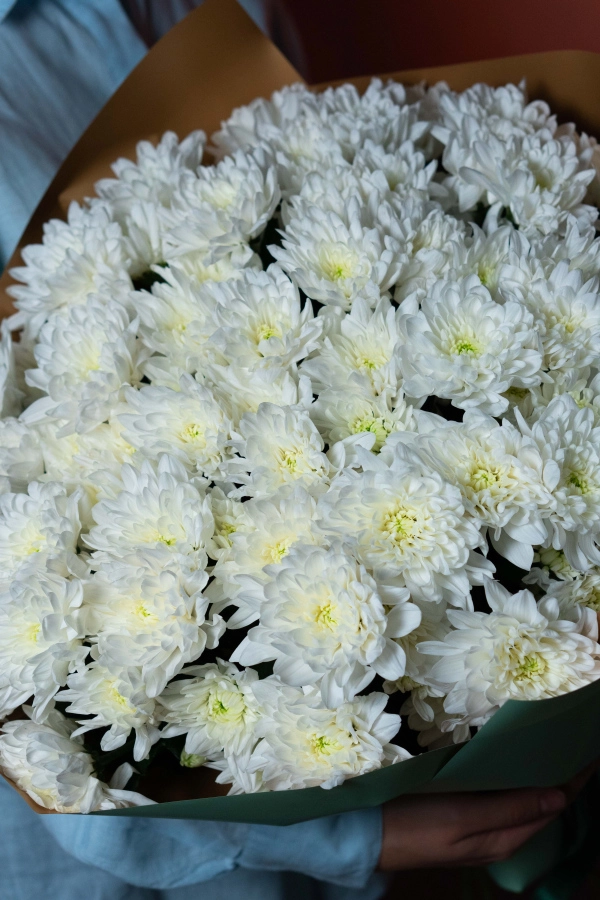 Картинка Букет из 17 хризантем "Лёгкое дыхание"