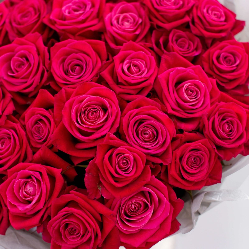 Картинка Букет из 31 розы сорта Шангрила 40 см