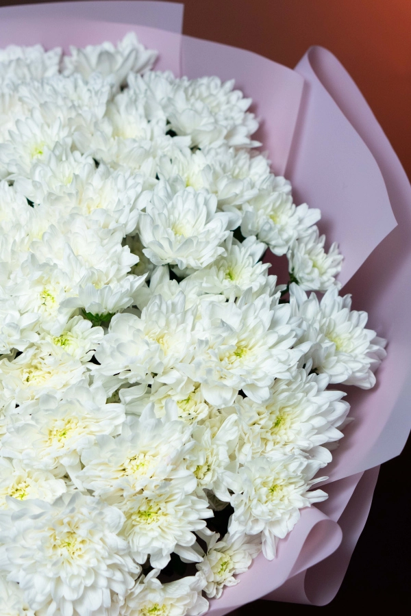 Картинка Букет из 21 хризантемы "Тепло души"