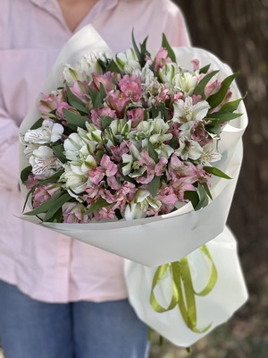 Картинка Букет из 23 альстромерий "Лазурь"