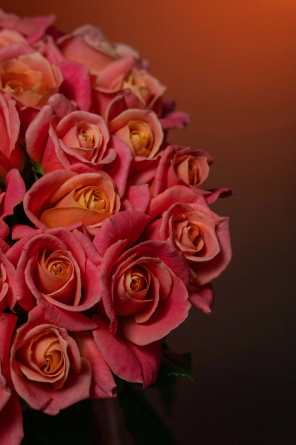 Картинка Букет из 27 роз Мисс Пигги "Зефир" 40 см