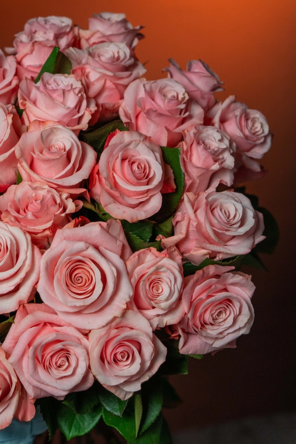 Картинка Роза Би Свит