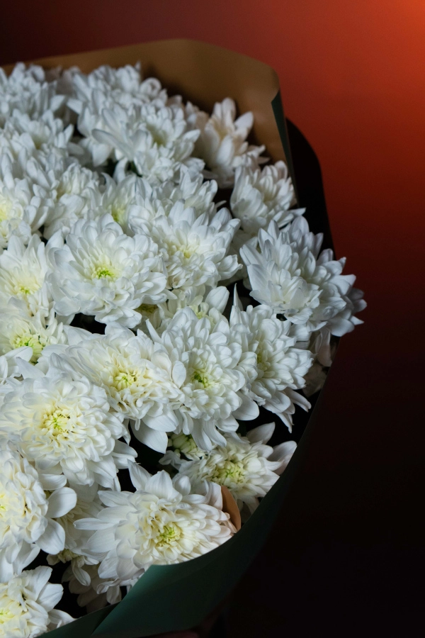 Картинка Букет из 17 хризантем "Лёгкое дыхание"