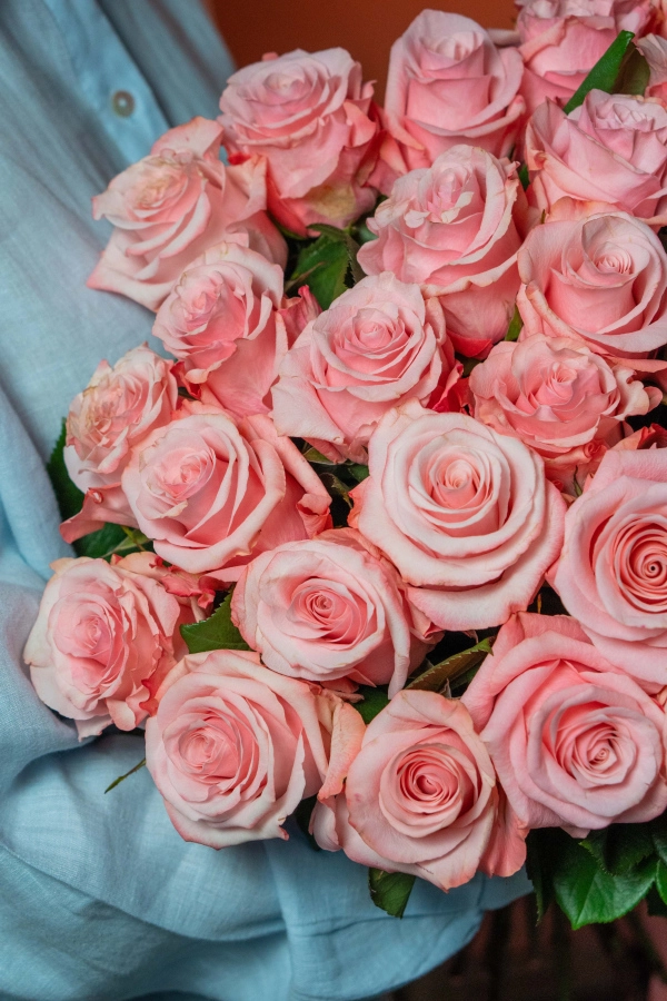 Картинка Роза Би Свит