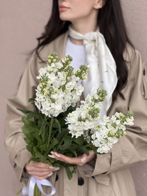 Картинка Букет из 13 маттиол "Апрель"