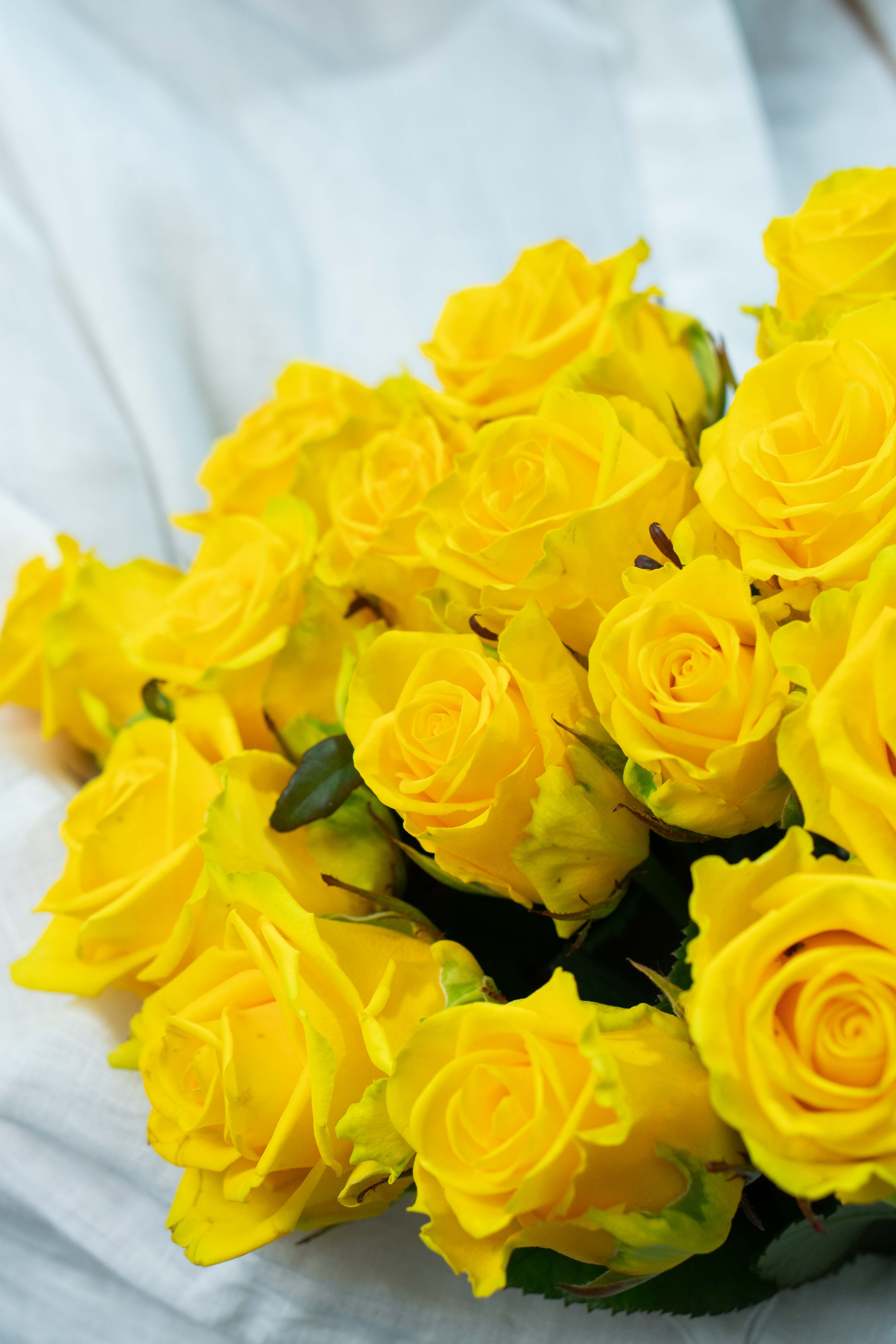 Картинка Букет из 15 роз "Роял" 60 см