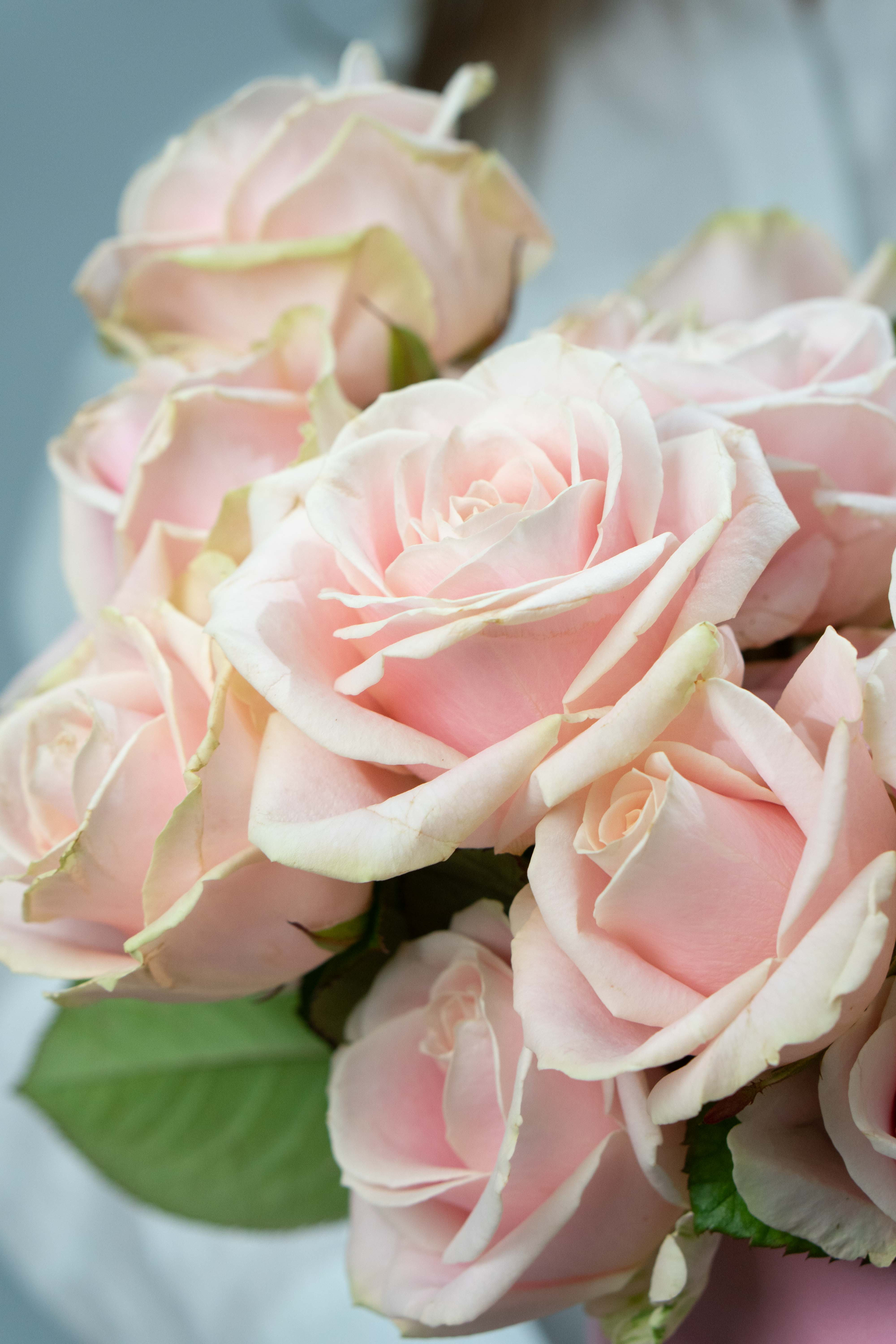 Картинка Коробка "Аваланж Свит" из 31 розы