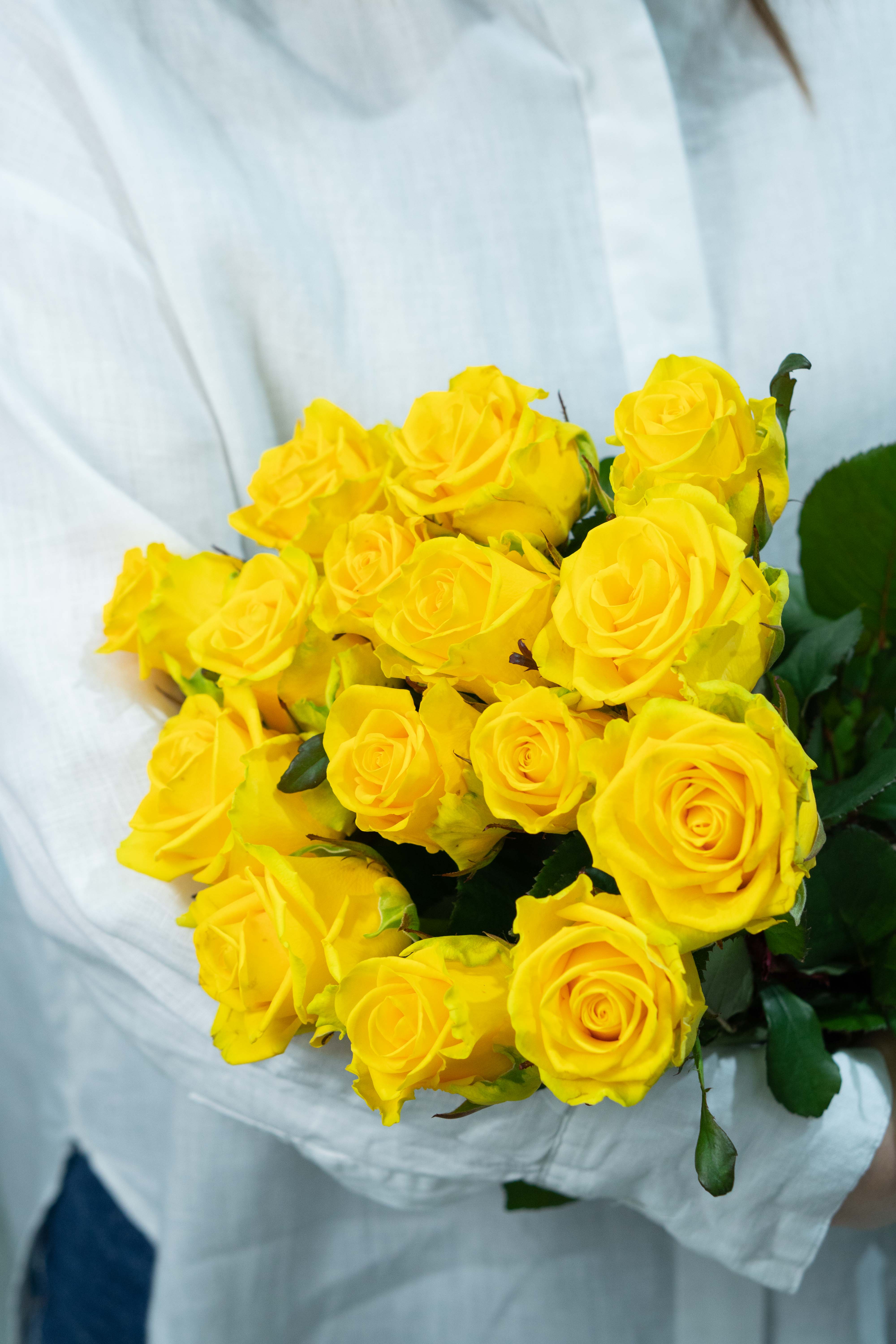 Картинка Букет из 15 роз "Роял" 50 см