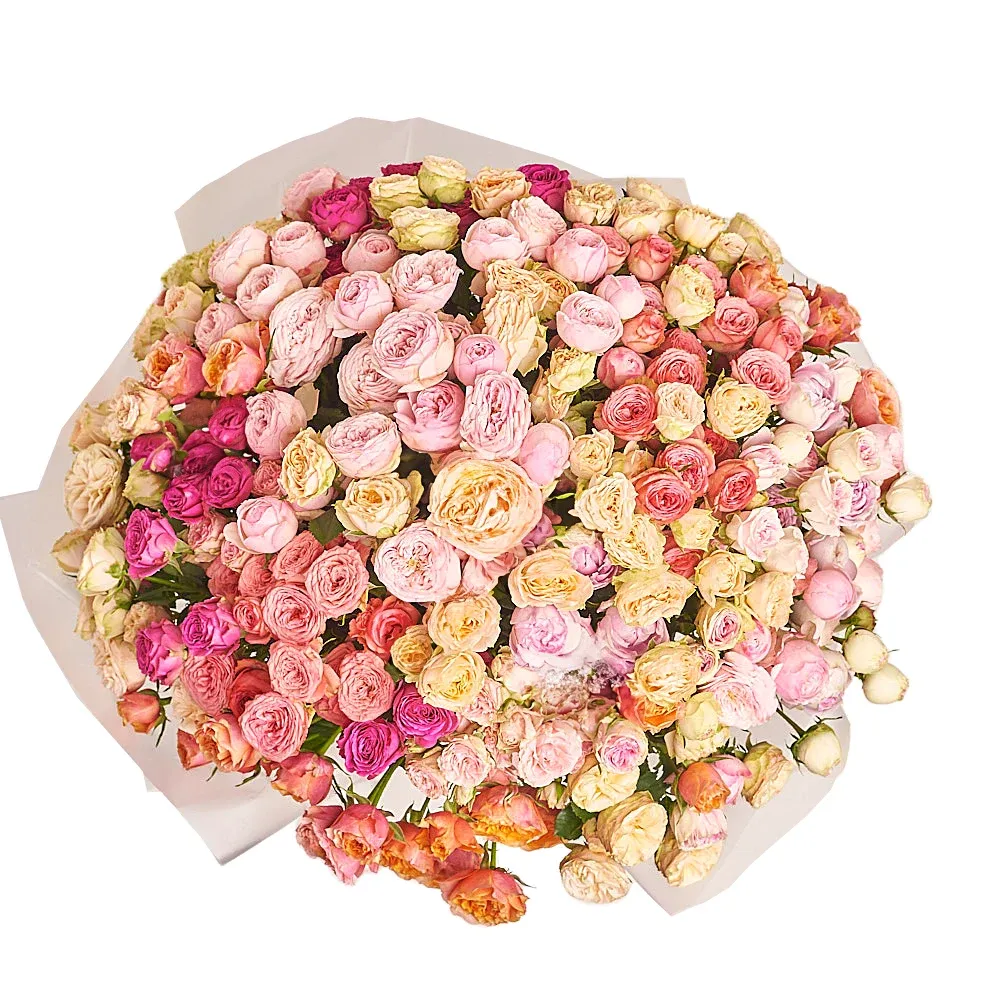 Картинка Роза кустовая пионовидная (Микс)