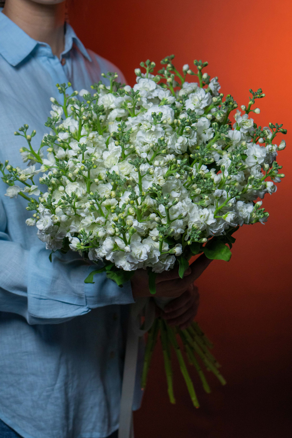 Картинка Букет из 21 кустовой Маттиолы