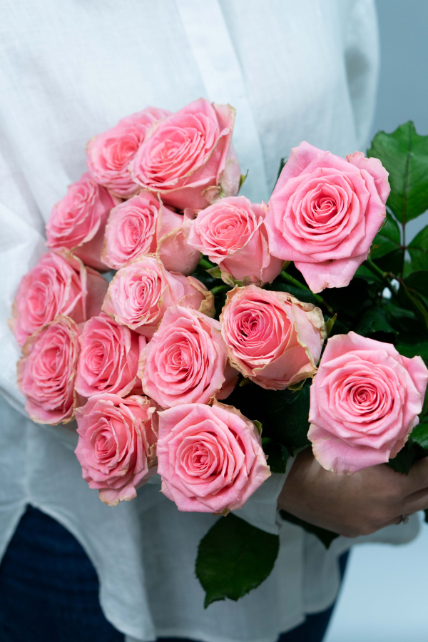 Картинка Букет из 15 роз Софи Лорен 50 см