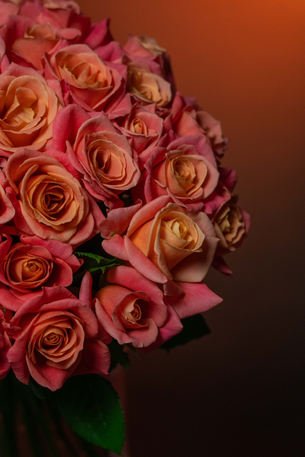 Картинка Букет из 45 роз Мисс Пигги  40 см