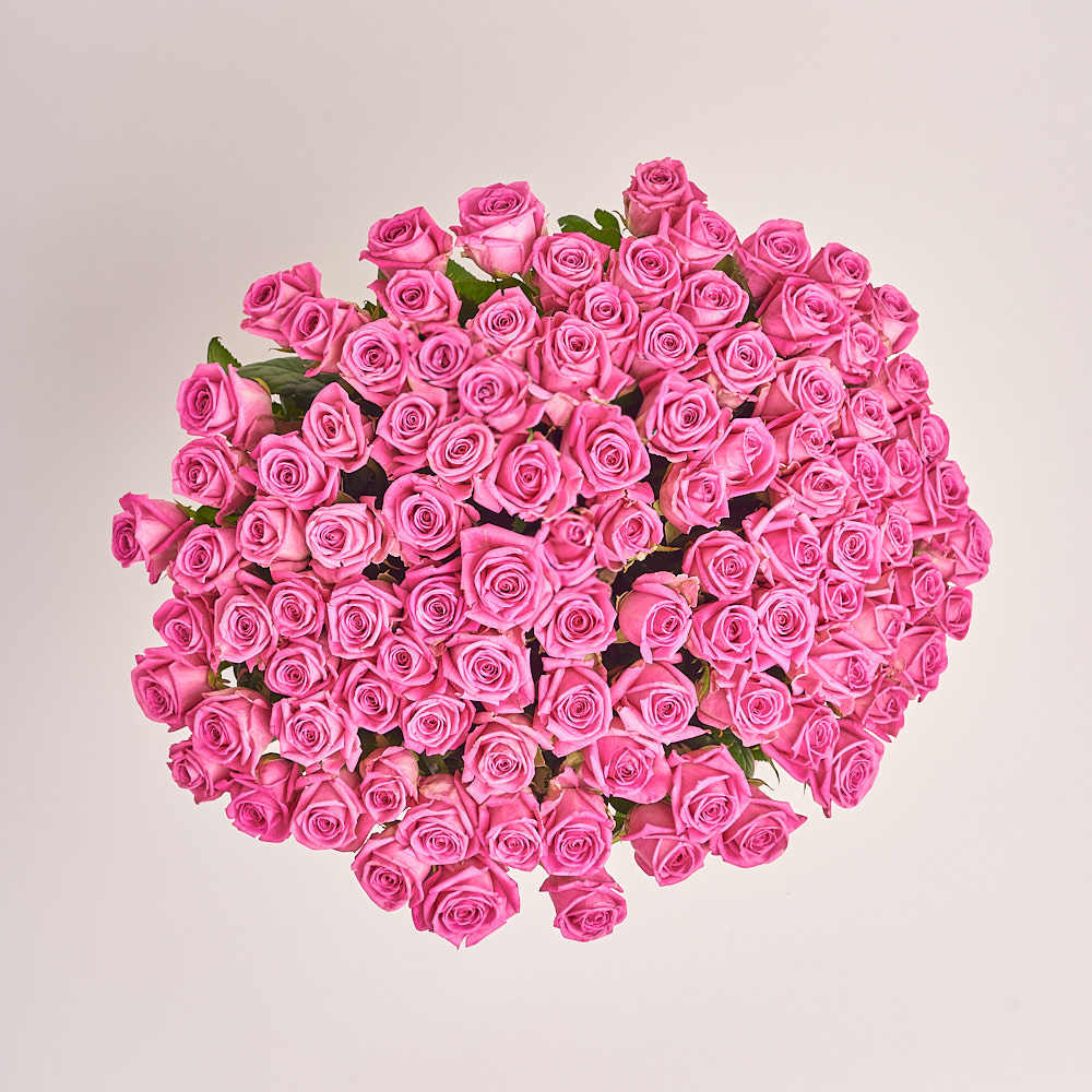 Картинка Букет из 101 розы " Пинк безе" 80 см