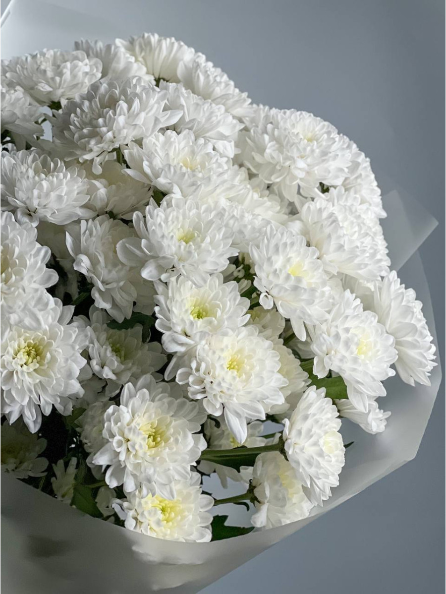 Картинка Букет из 11 хризантем "Феона"