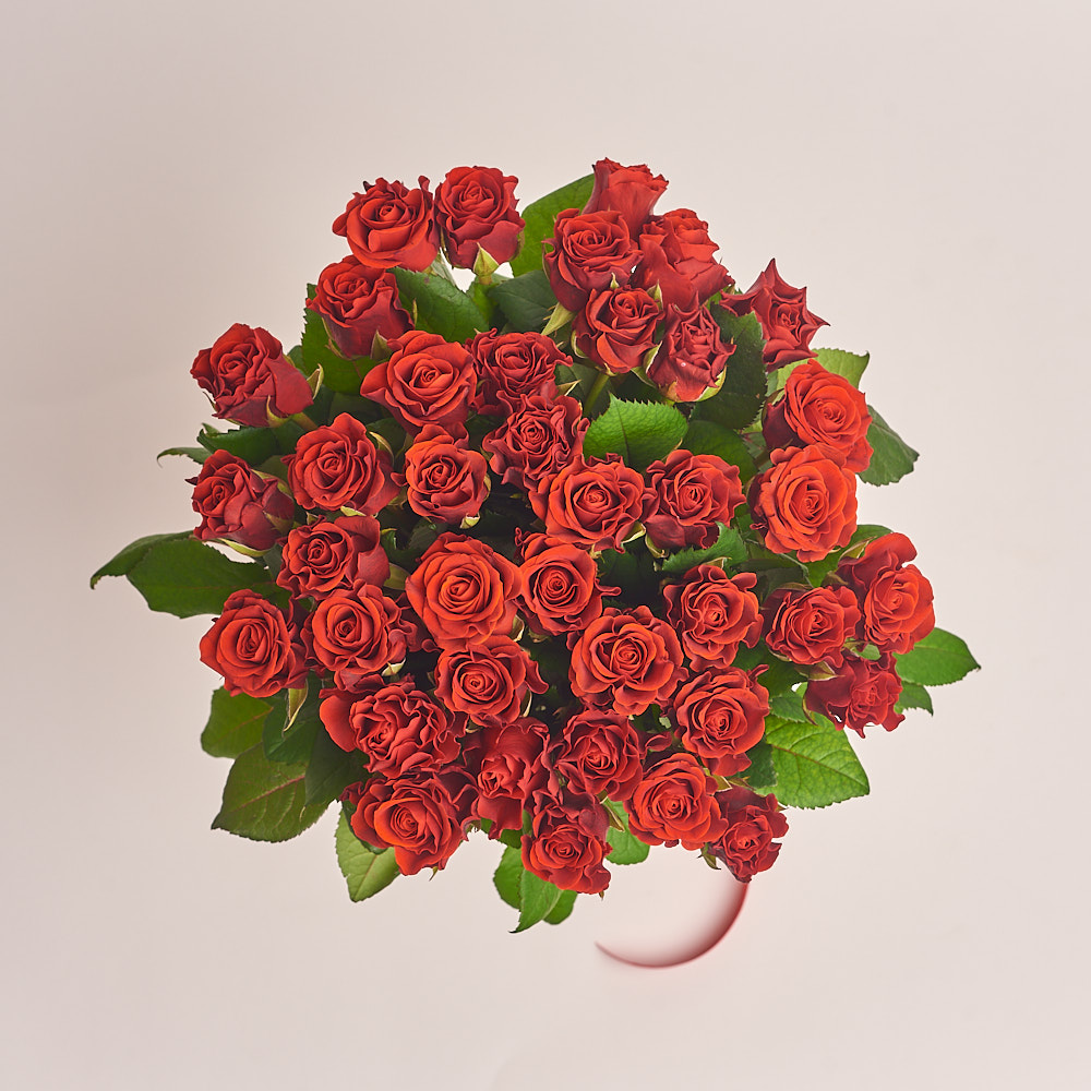 Картинка Букет "Эль Торо" из 39 роз 70 см