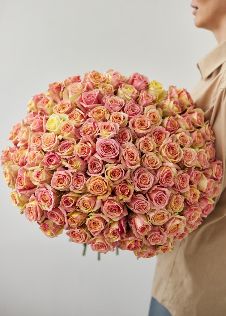 Картинка Роза Фиеста