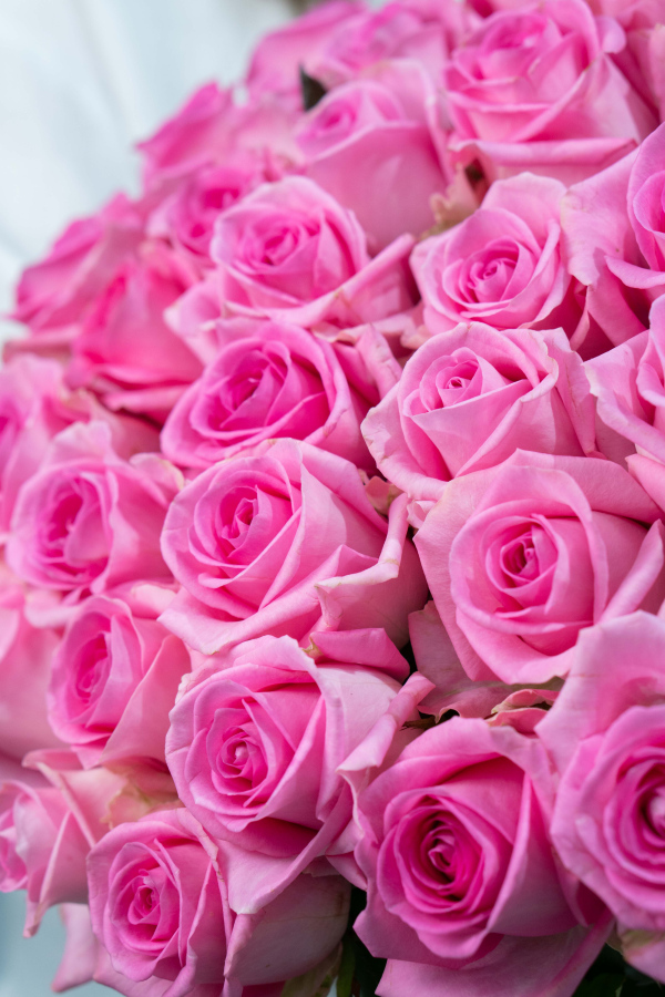 Картинка Букет из 31 розы сорта Ревивал 70 см