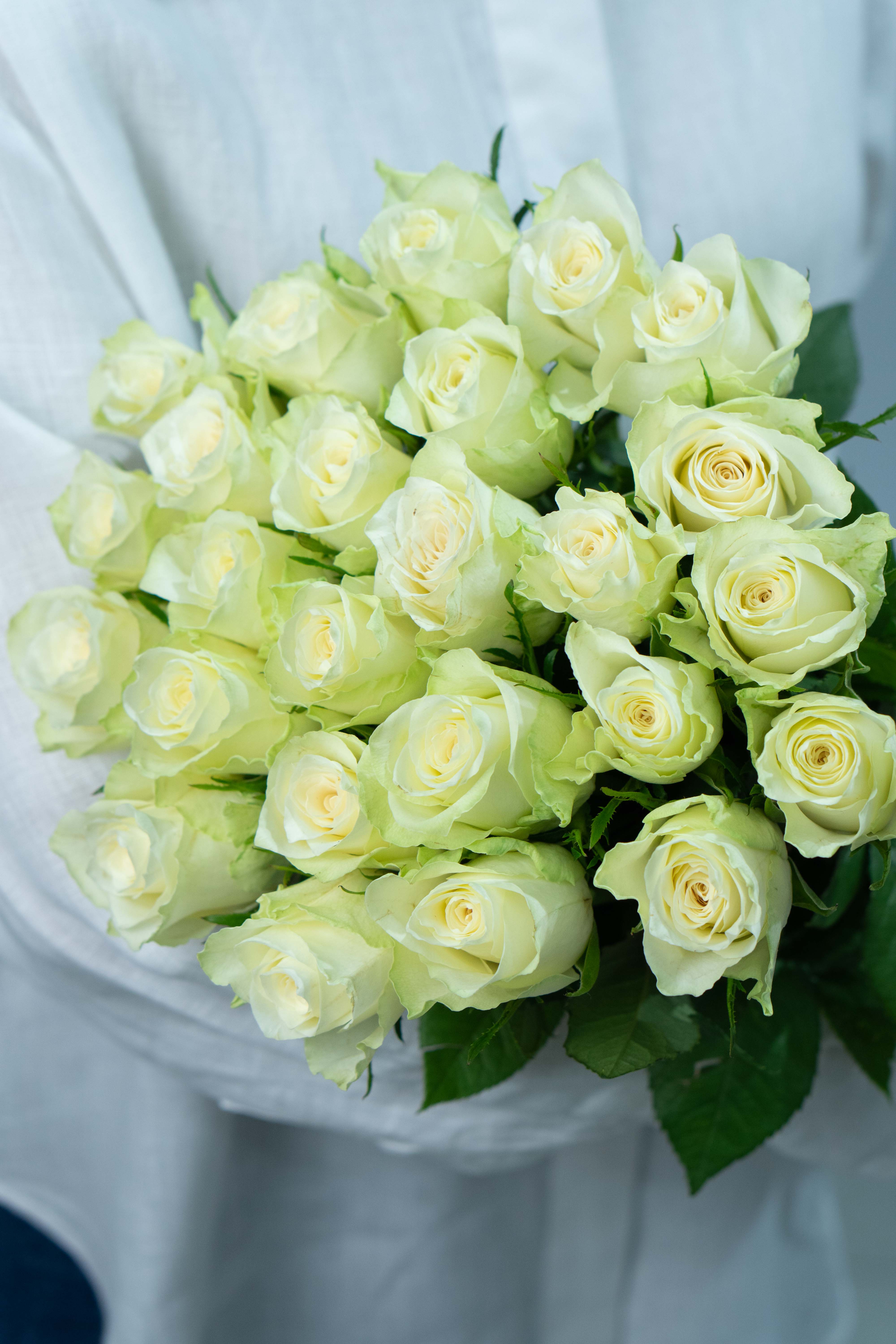 Картинка Букет из 25 белых роз Кения 60 см