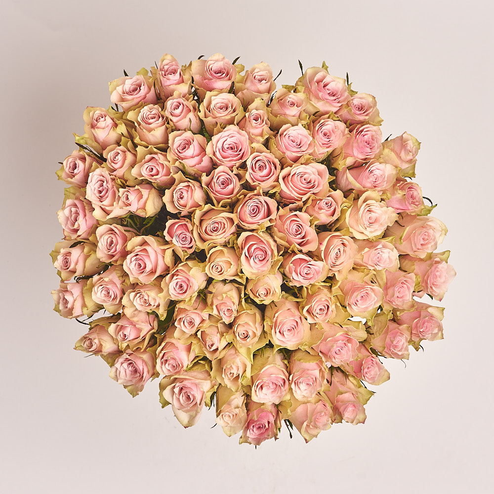 Картинка Букет из 101 розы "Розовое облако" 50 см