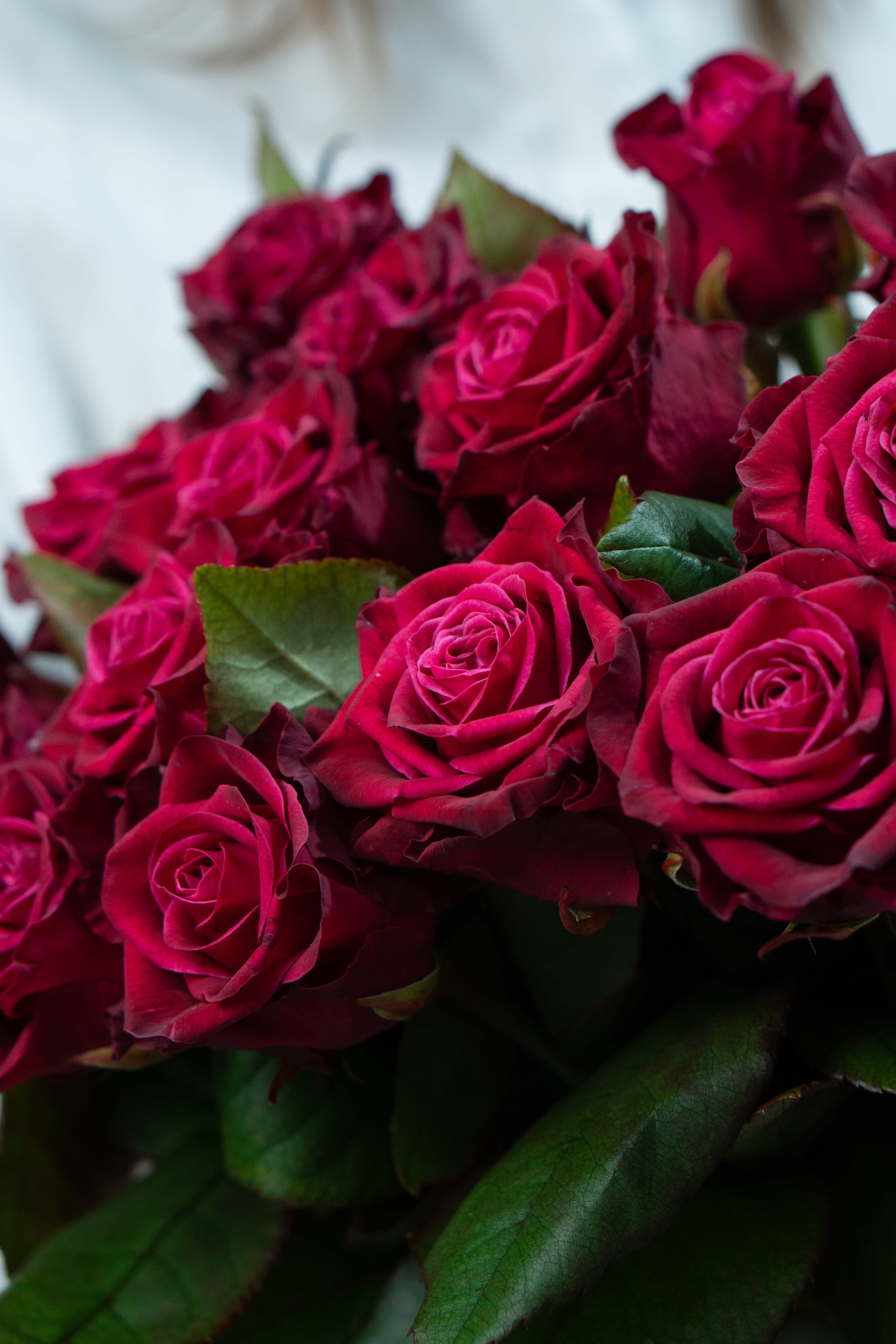 Картинка Букет из 15 роз сорта Адмирал 60 см