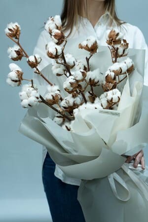 Картинка Букет из 7 веток хлопка