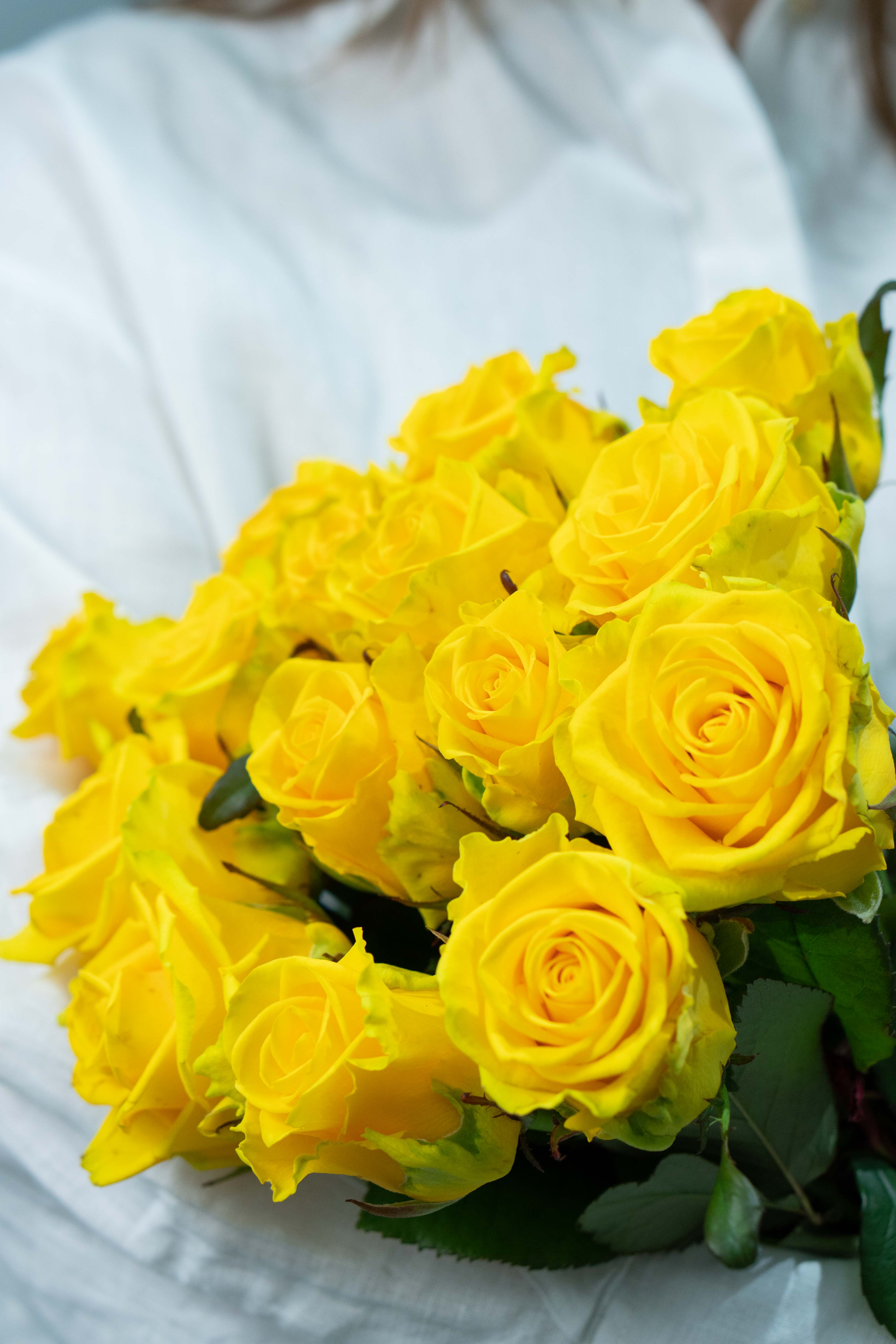 Картинка Букет из 15 роз "Роял" 50 см