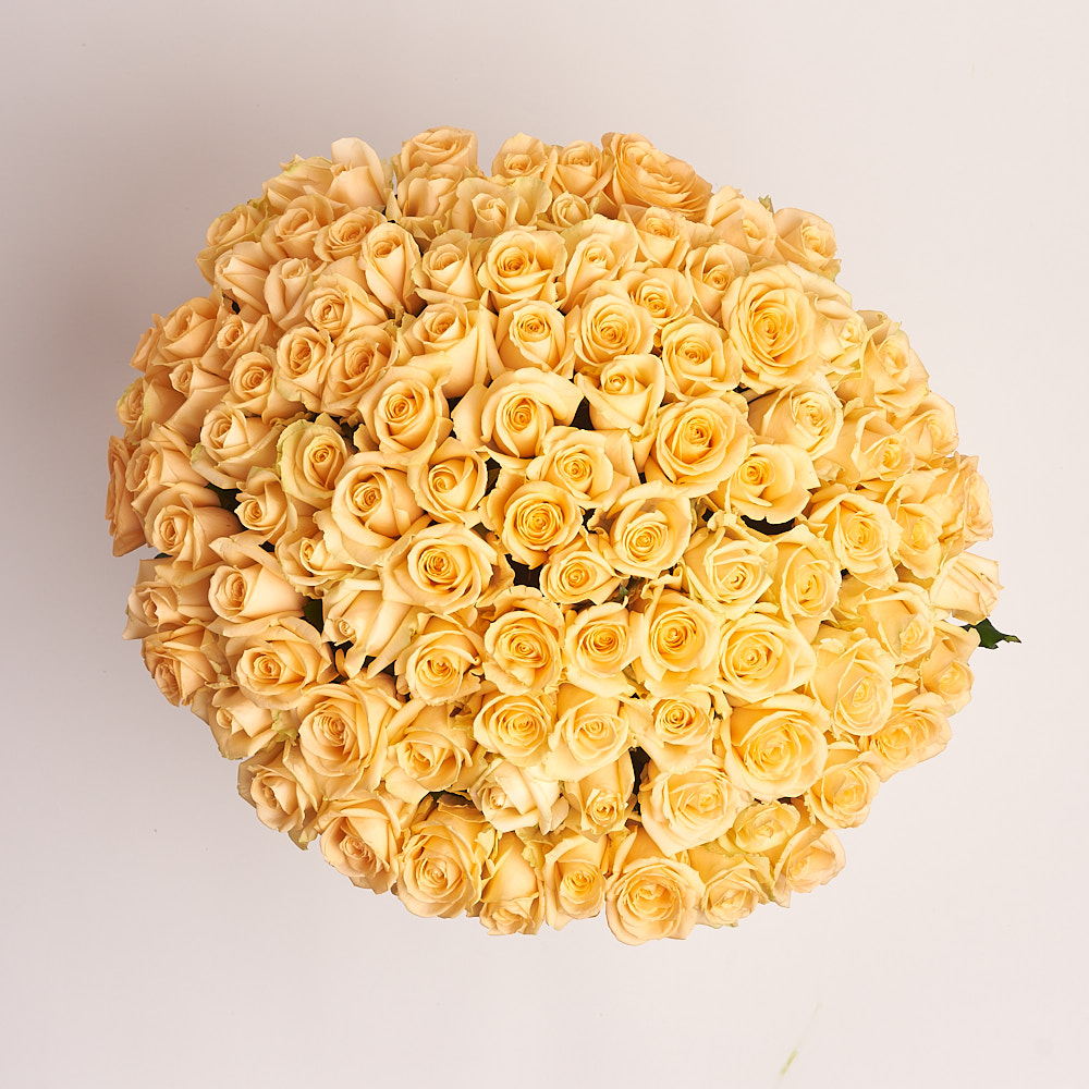 Картинка Букет из 101 розы сорта  Пич Аваланж 60 см