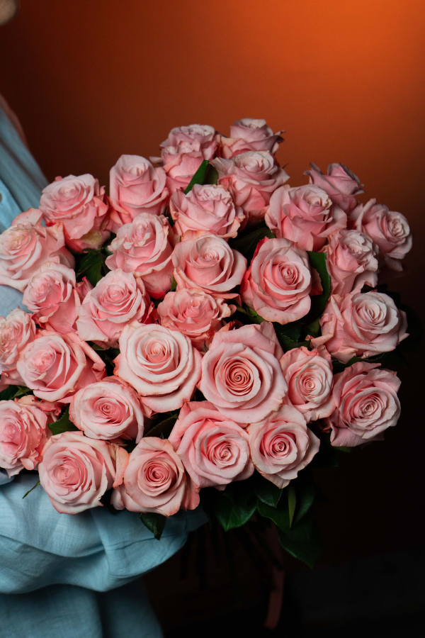 Картинка Роза Би Свит