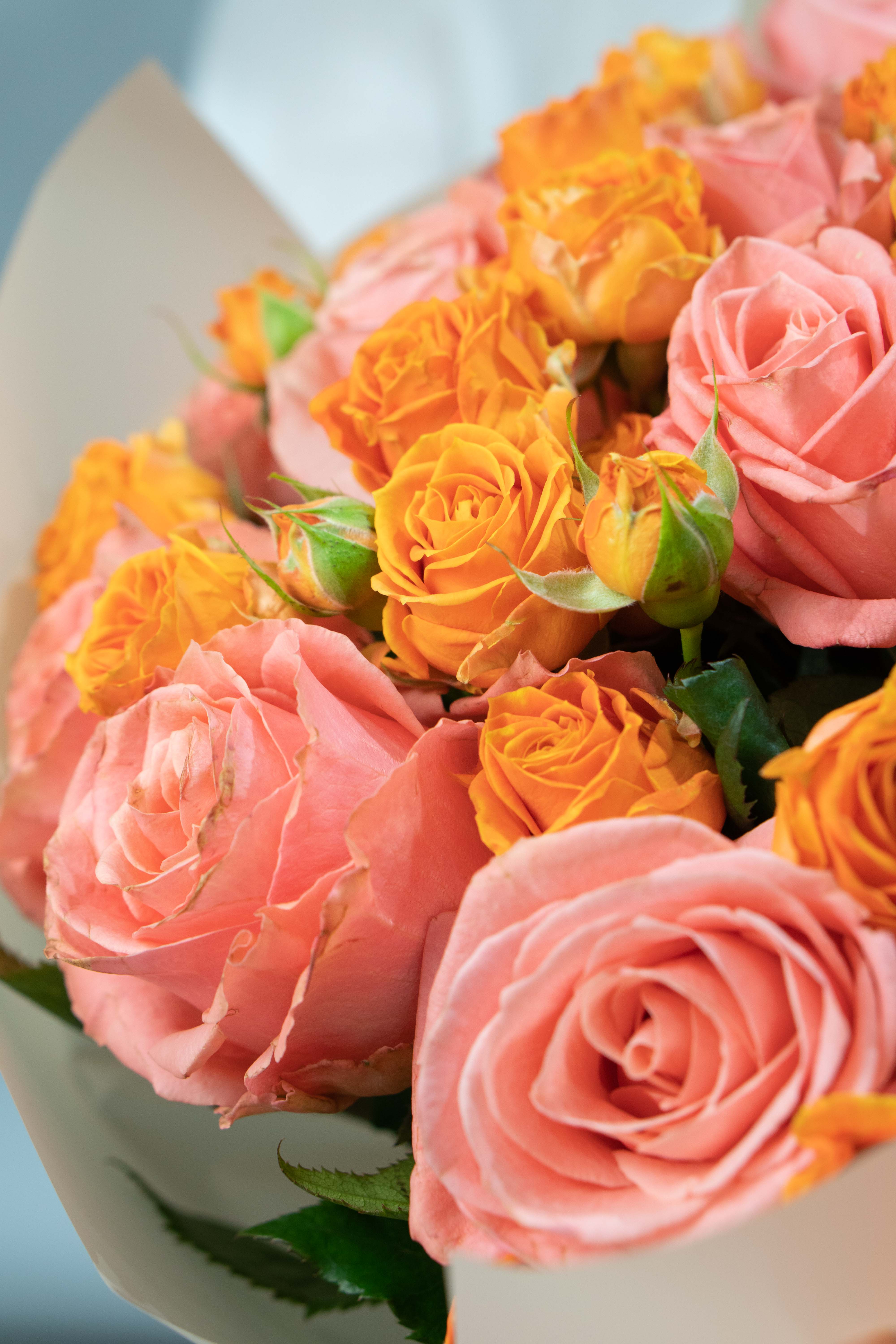 Картинка Букет из 23 роз  "Оранжевые сны" 70 см