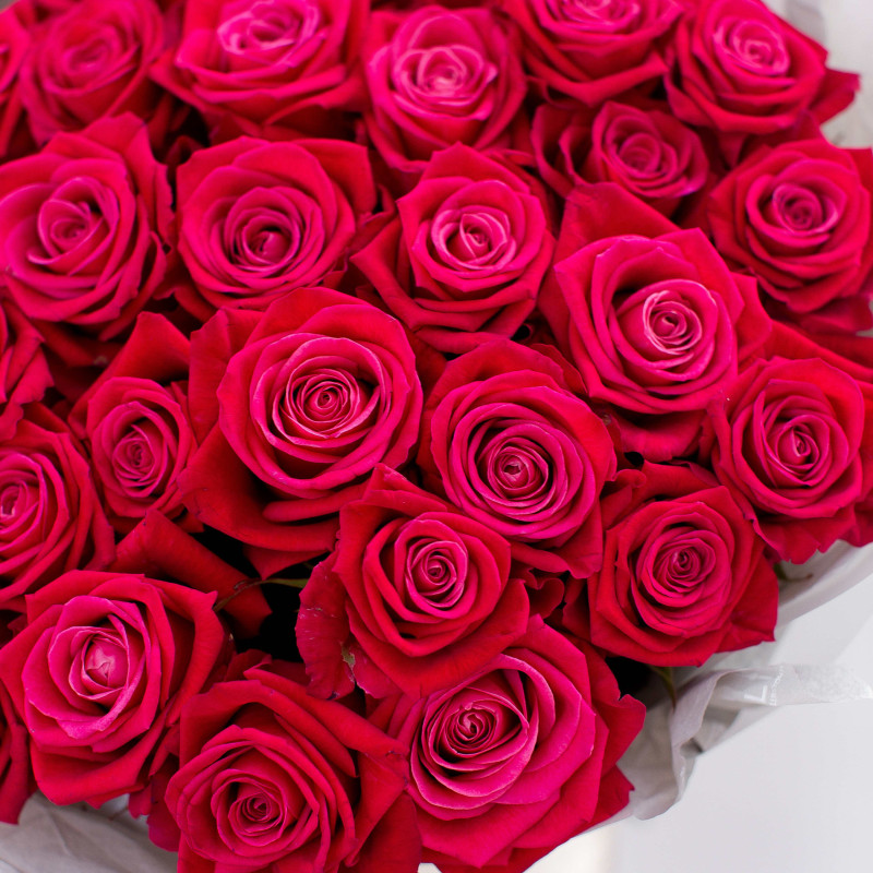 Картинка Букет из 31 розы сорта Шангрила 40 см