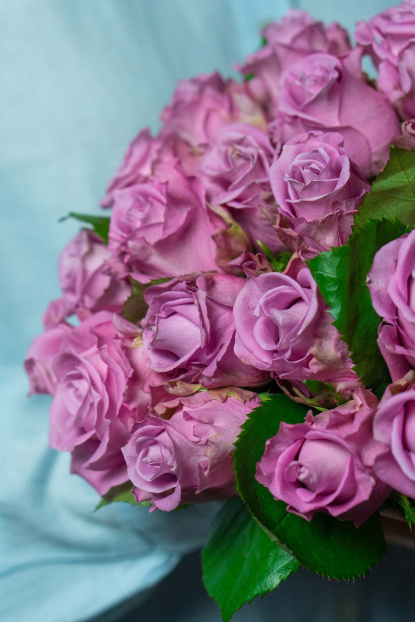 Картинка Букет "Прага" из 23 роз сорта Маритим 80 см