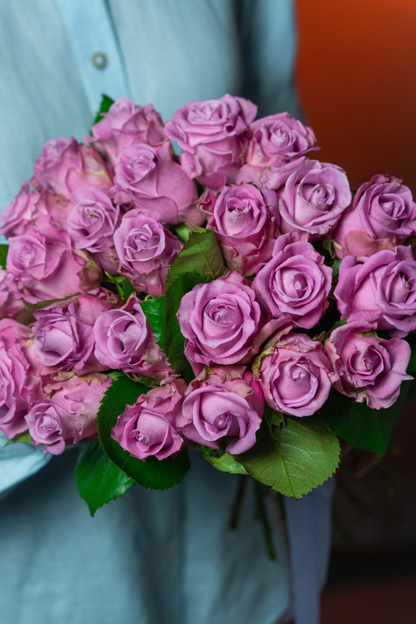 Картинка Букет "Прага" из 23 роз сорта Маритим 50 см