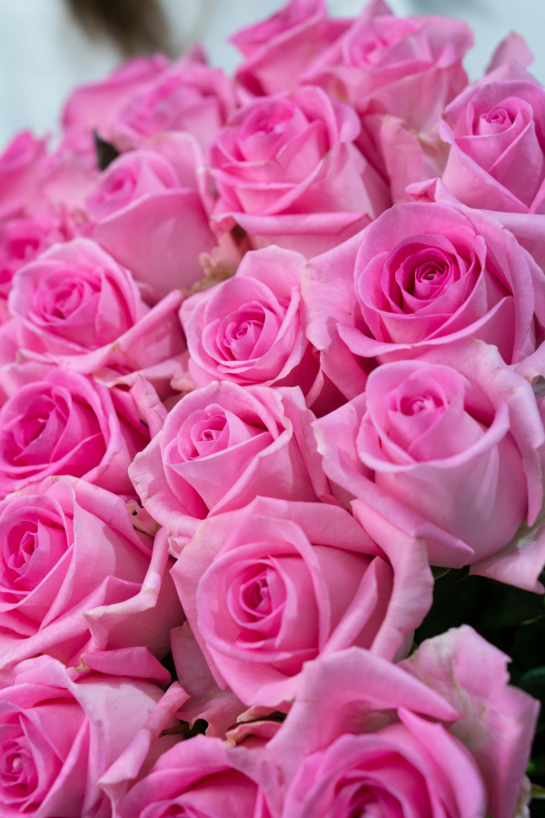 Картинка Букет из 31 розы сорта Ревивал 80 см